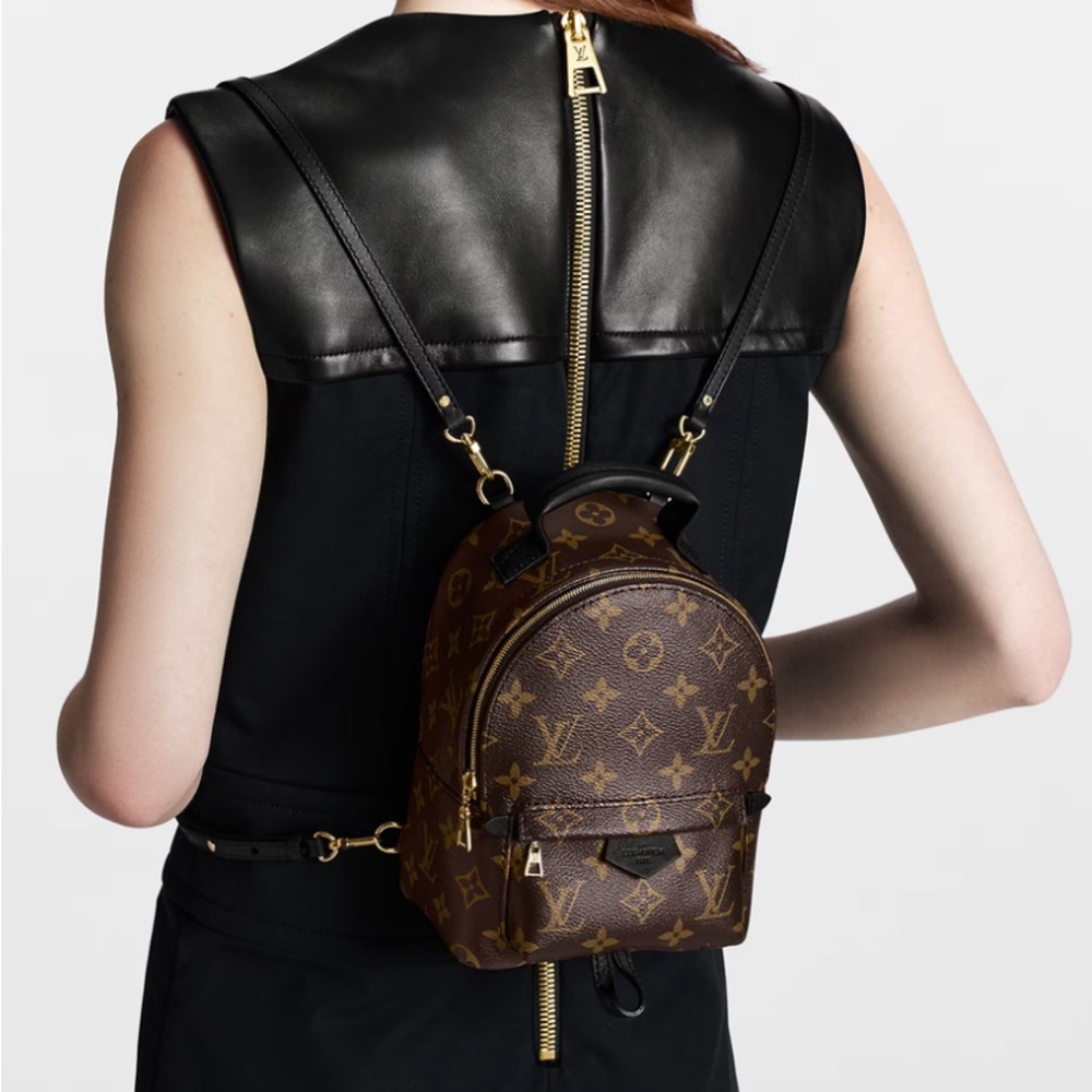 Louis Vuitton Palm Springs Mini